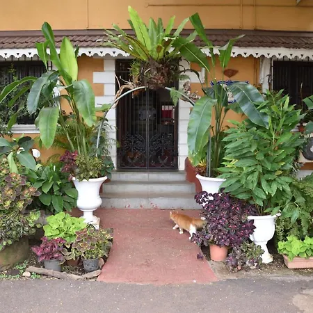 Afonso Guest House - Fontainhas-2